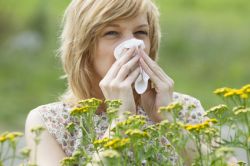 Frau mit allergischer Rhinitis bei Gräser- und Kräuterpollen